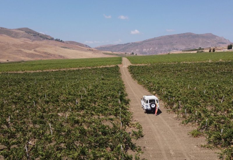ViviBelice Vigneti Escursione Jeep